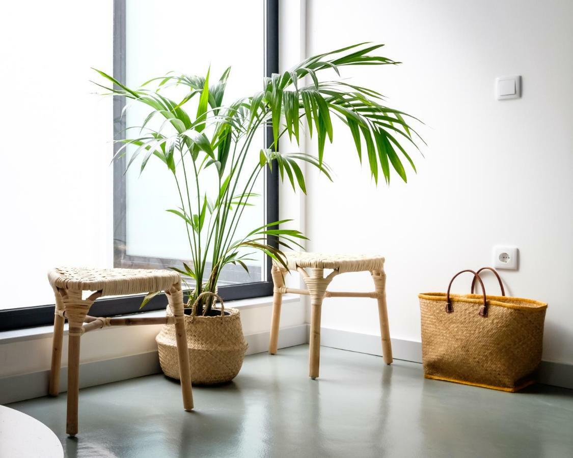 Casa Do Vento By Home Sweet Home Aveiro Exterior foto
